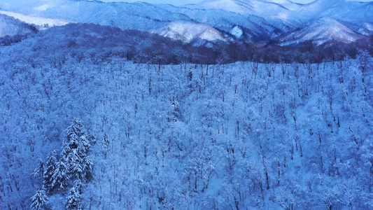 壮观雪山雪景雪林冰天雪地震撼航拍视频