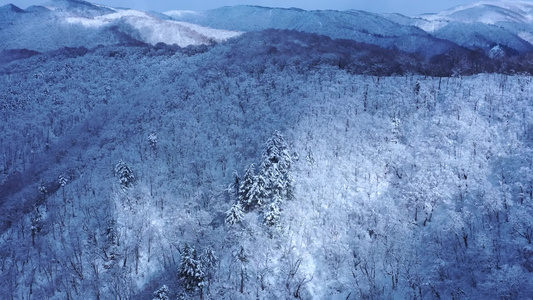 壮观雪山雪景雪林冰天雪地震撼航拍视频