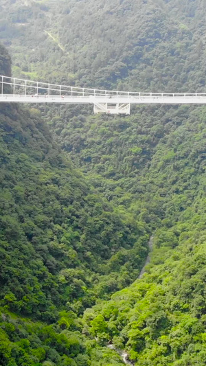 张家界大峡谷航拍4A景区41秒视频