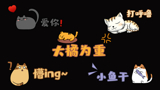 猫猫综艺弹幕花字字幕ae模板视频