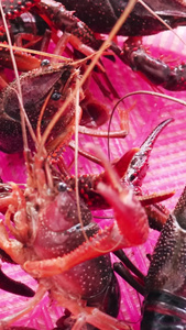 新鲜小龙虾实拍视频美食小龙虾视频