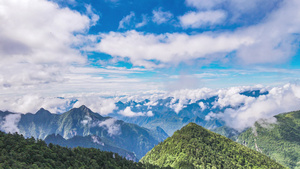 湖北神农架5A景区云海延时摄影5秒视频