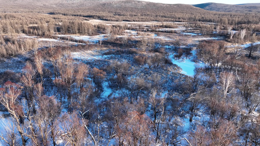 大兴安岭冬天风景林区湿地河谷视频