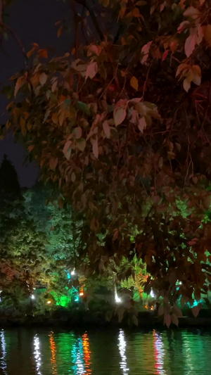 实拍两江四湖5A景区日月双塔夜景木龙湖28秒视频