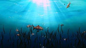 唯美海底世界鱼群游动海草背景19秒视频