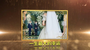 金色时尚婚礼婚庆相册会声会影x10模板171秒视频