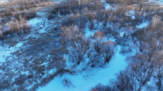 大兴安岭冬天风景林区湿地河谷视频