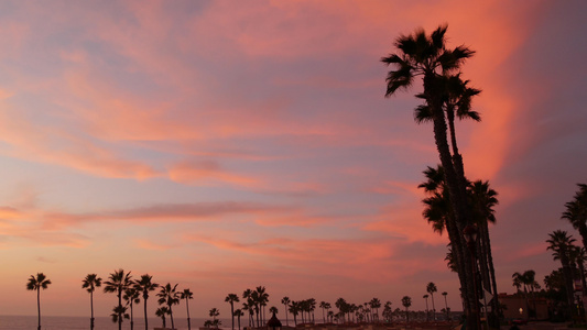 热带海滩日落下的棕榈和黄昏的天空带来浪漫的感觉视频