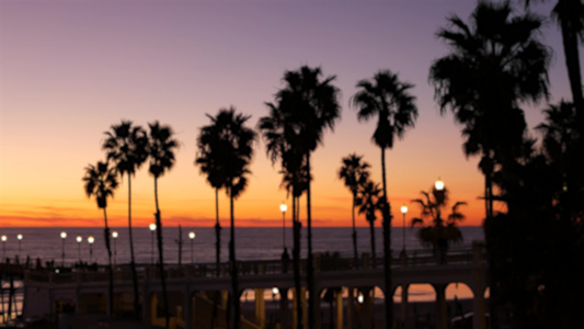 棕榈、黄昏的天空、卡利福尼亚usa、热带海滩日落大气层、天使的感觉视频