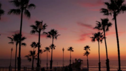 棕榈、黄昏的天空、卡利福尼亚usa、热带海滩日落大气层、天使的感觉视频