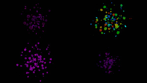 一组圆环环绕扩散粒子花瓣动画20秒视频