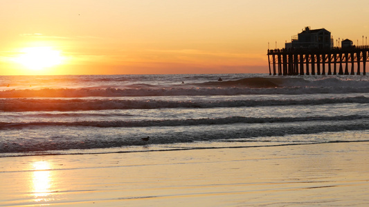 日落时的双光周,加州,海边,海洋热带海滩,海鸥鸟靠近海浪视频