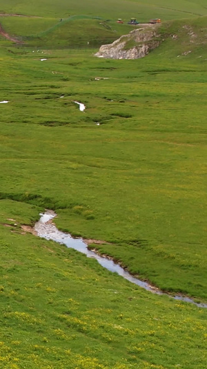 航拍5A夏季伊犁草原河谷湿地喀拉峻大草原风光视频5A景区54秒视频