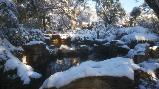 冬天雪景视频