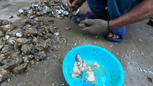 当地海鲜市场撬生蚝视频