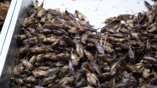 泰国街头食品 深炸昆虫超级食品视频