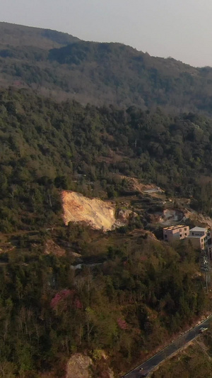 航拍云南红河元阳山谷中的云海村落视频旅游目的地45秒视频