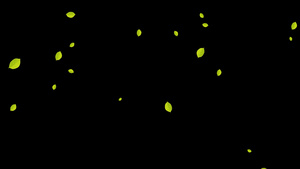 飘落树叶粒子下落修饰动画30秒视频