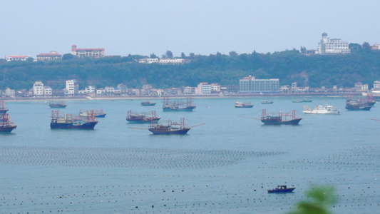 海港港口停泊渔船视频