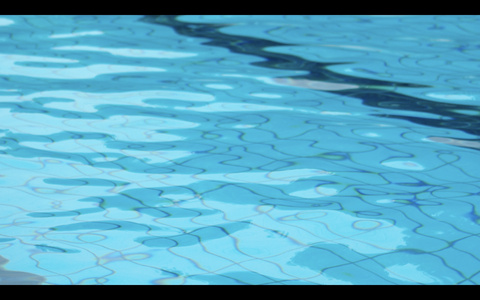 夏日泳池视频