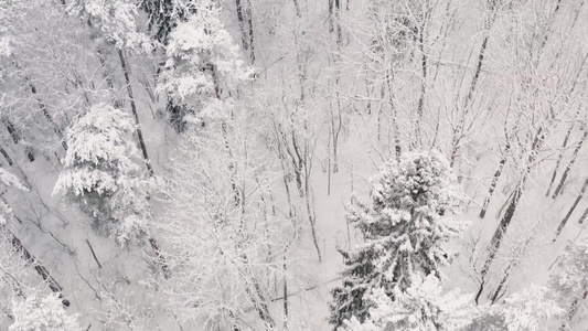 冬季白雪皑皑森林唯美航拍视频