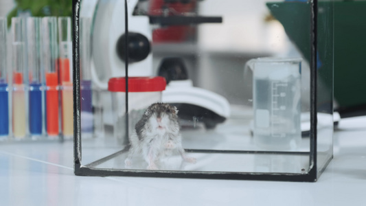 在现代实验室的玻璃容器中封闭化学仓储,在现代实验室视频