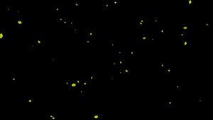 飘落树叶粒子下落修饰动画30秒视频