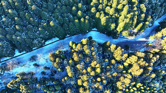 航拍冬天江西旅游5A级网红庐山景区雪景4k素材视频