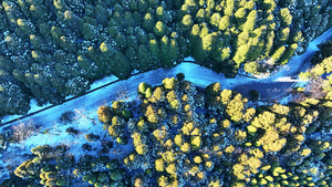 航拍冬天江西旅游5A级网红庐山景区雪景4k素材47秒视频