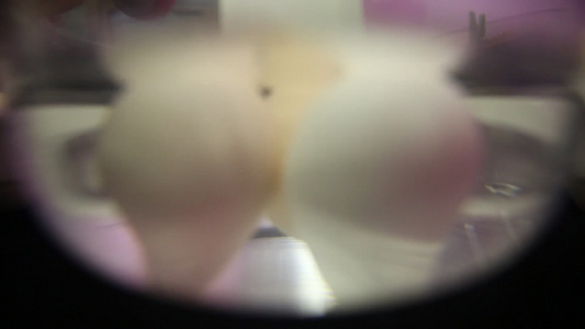 清洁鸡蛋表面视频