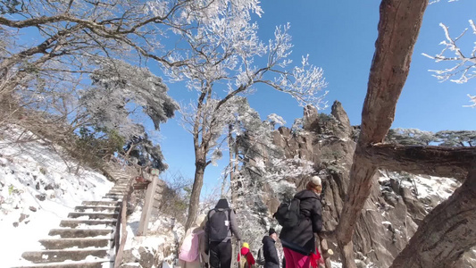 合集 黄山雪景雾凇延时摄影视频