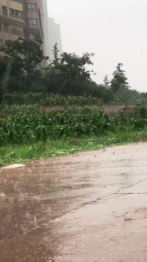 实拍自然天气下雨天路面积水自然灾害34秒视频