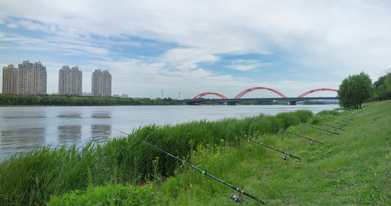 沈阳浑河长青桥岸边垂钓休闲视频