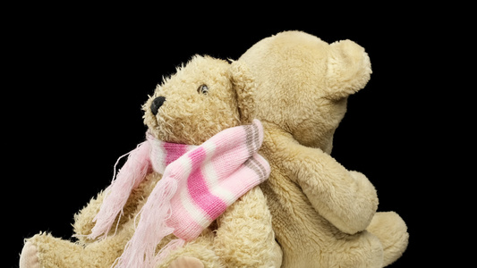两只泰迪熊背靠背坐着在黑色背景上旋转可爱的婴儿玩具视频