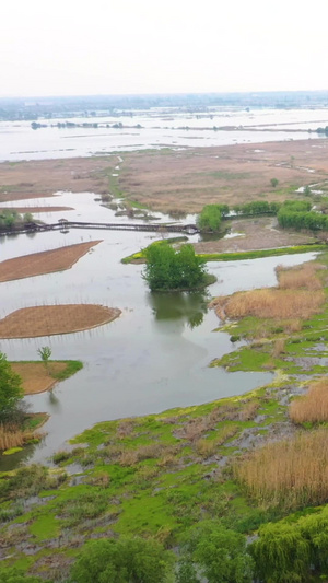 5A宿迁洪泽湖湿地国家级自然保护区景点芙蓉湾视频旅游景区51秒视频