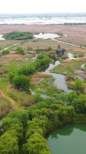 5A宿迁洪泽湖湿地国家级自然保护区景点芙蓉湾视频旅游度假51秒视频