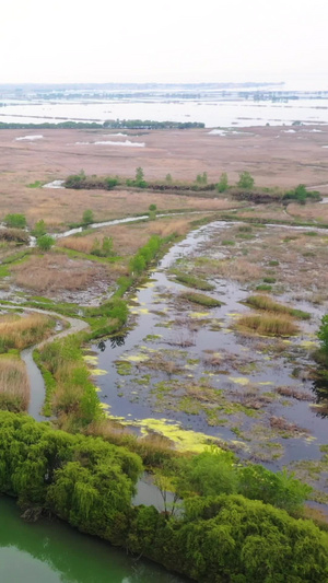 5A宿迁洪泽湖湿地国家级自然保护区景点芙蓉湾视频旅游景区51秒视频