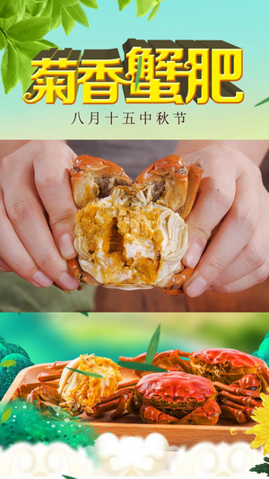 八月十五中秋节螃蟹大闸蟹宣传海报20秒视频
