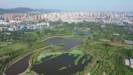 航拍河南省平顶山市白鹭洲国家城市湿地公园视频