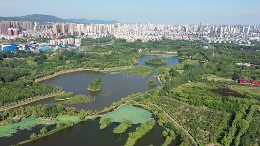 航拍河南省平顶山市白鹭洲国家城市湿地公园视频