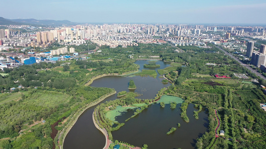 航拍河南省平顶山市白鹭洲国家城市湿地公园视频