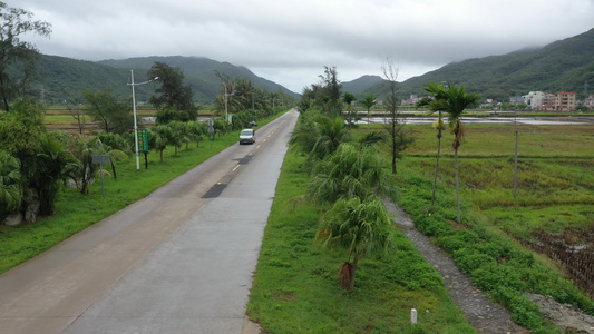 川岛镇道路延申视频