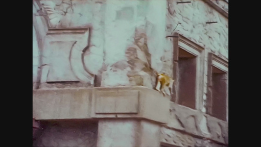 1965年联合王国动物园的猴子视频