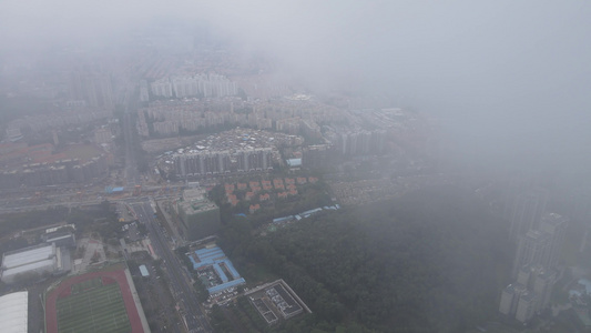 雨雾中的城市视频