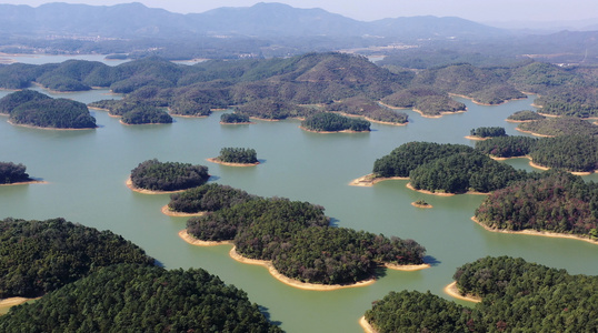 广东开平孔雀湖湿地风光视频