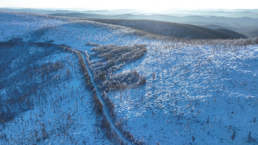 大兴安岭冬季雪景林海雪原山峦起伏自然风光视频