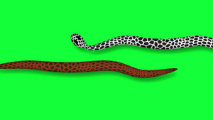 在2D中爬向绿色屏幕起火的蛇11秒视频