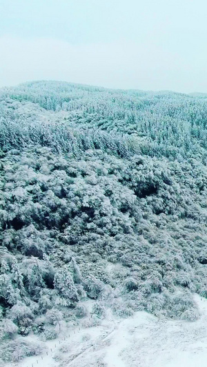 中国最美观光公路中国重庆武隆仙女山雪景公路92秒视频