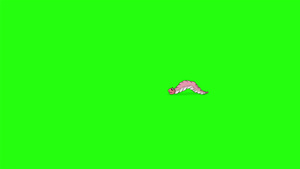 小蠕虫背对背地爬来爬去染色键16秒视频
