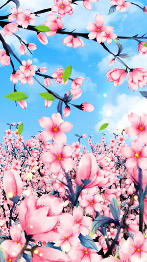 唯美的樱花背景素材春暖花开30秒视频